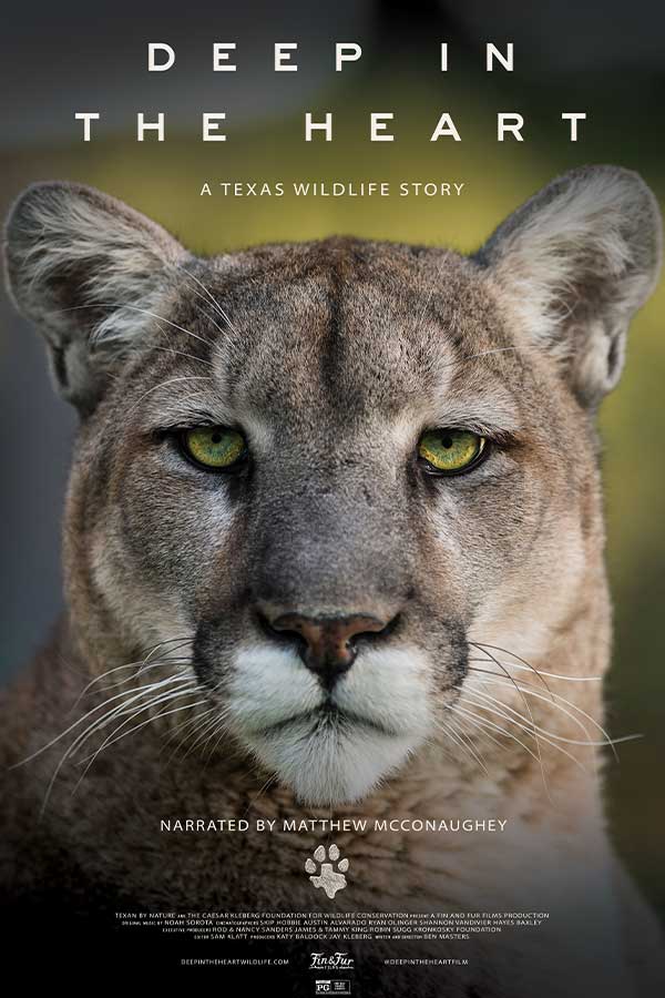 film poster of "Deep in the Heart: A Texas Wildlife Story" of a lion staring into the camera