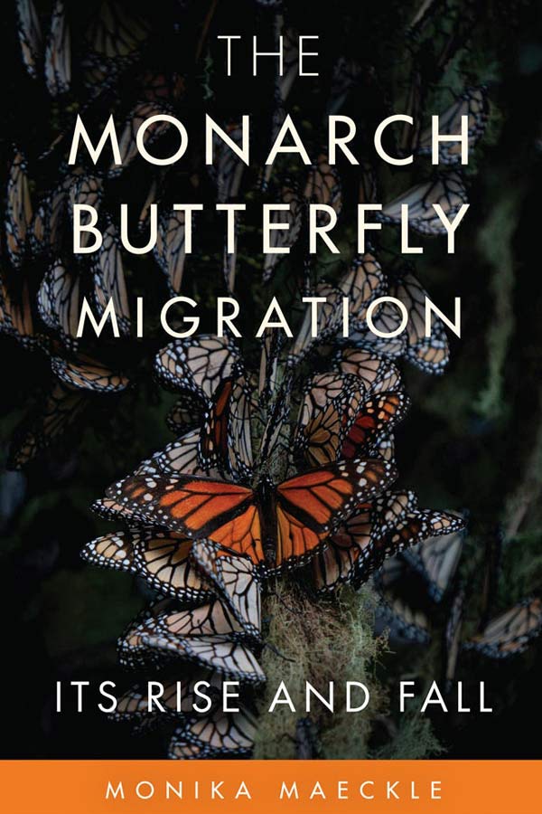 a book cover for The Monarch Butterfly Migration: Its Rise and Fall by Monika Maeckle with a picture of monarch butterflies gathering together