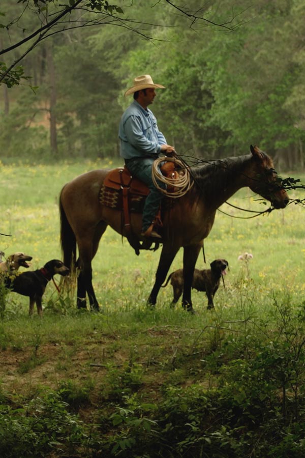 a still image from "A Way of Life: East Texas Cowboys" of a cowboy riding a horse surrounded by small animals