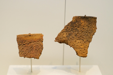 tan pottery fragments with small etched designs 